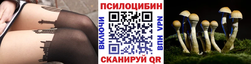 купить наркоту  Данков  ссылка на мегу ССЫЛКА  Галлюциногенные грибы Psilocybine cubensis 